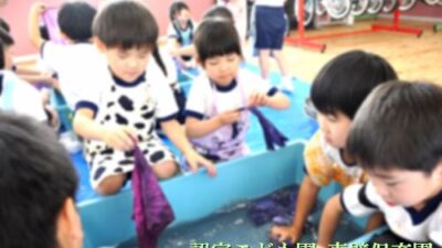 ブルーベリー染め♡ふじ組